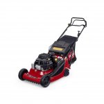 ProStripe® 560 (02657)