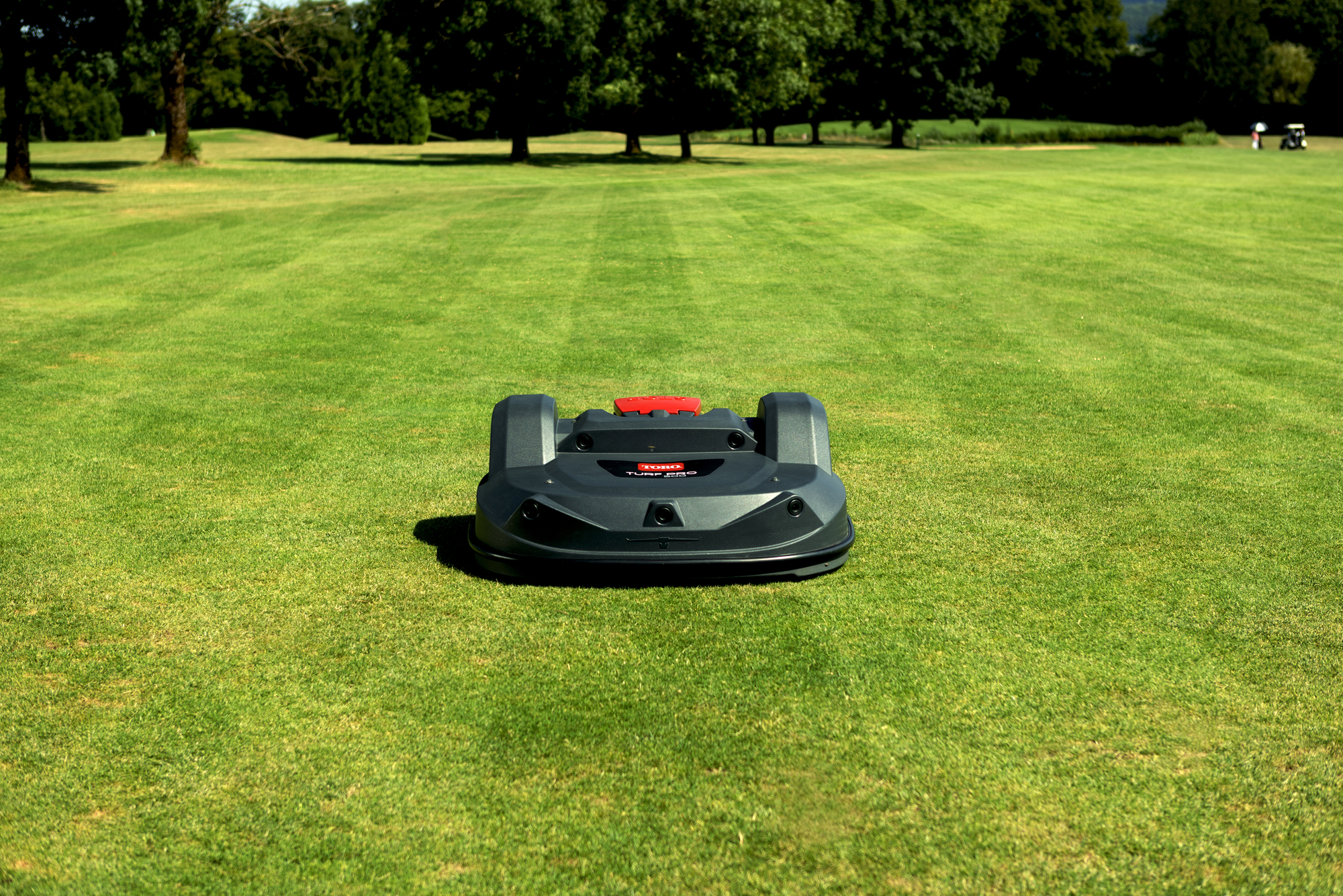 Turf Pro 500 - immagine 2