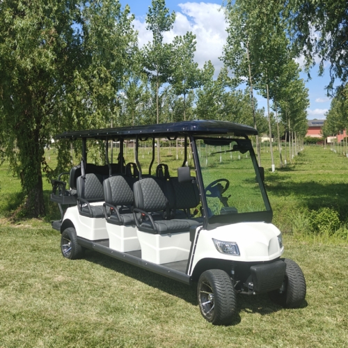 ICOCAR - Shuttle 6+2